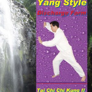 Tai Chi II