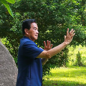 Tao Yin Qigong a Kozmický liečebný Qigong (časť 3 a 4) Intensive