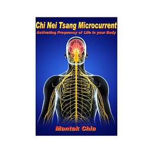 Chi Nei Tsang Microcurrent: Activating Frequency of Life in your Body