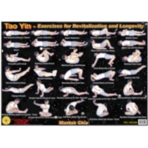 Poster Tao Yin