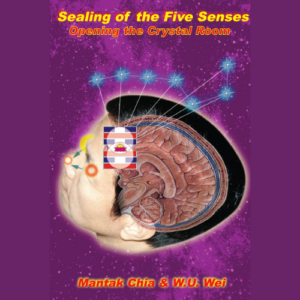 Sealing of the Five Senses | Book