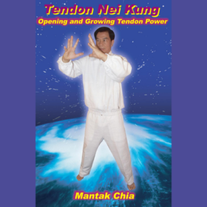 Tendon Nei Kung | Book