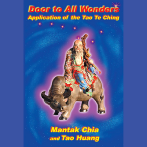 Door to all Wonders | Book