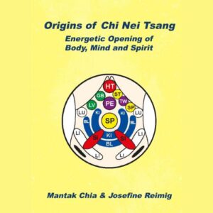 Origins of Chi Nei Tsang | Book