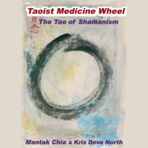 Taoist Medicine Wheel | Book